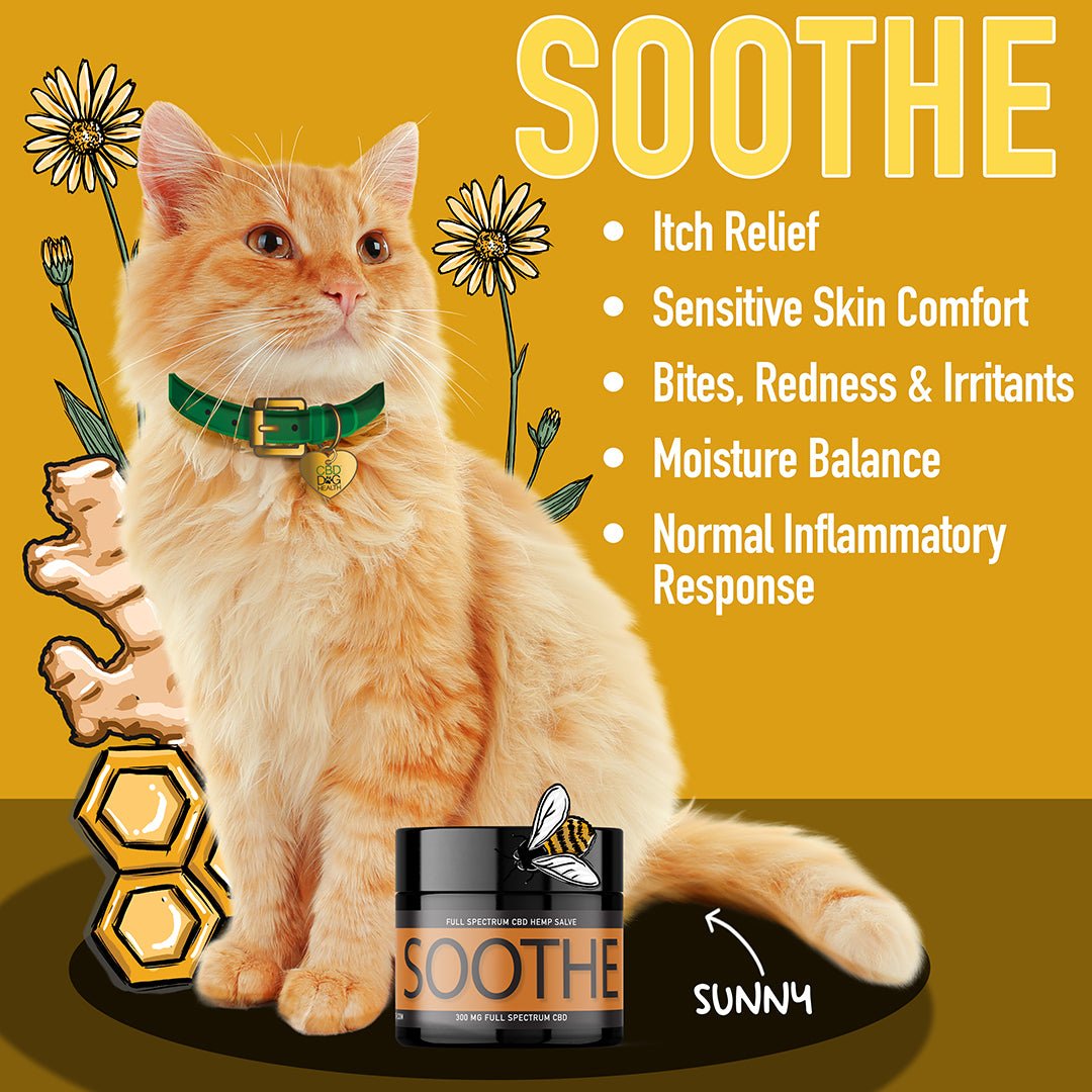 topical cbd for cats soothe salve itchy cat ears how can I soothe my cats itchy skin