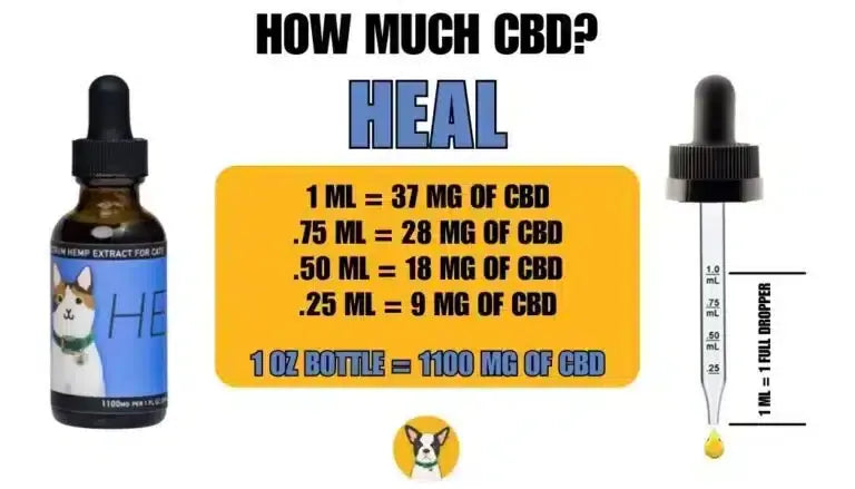 CBD dosage for cats cbd oil How much calm CBD for cats HEAL