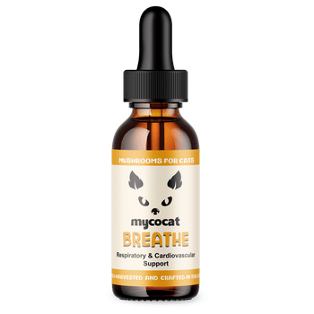 Breathe by MycoCat