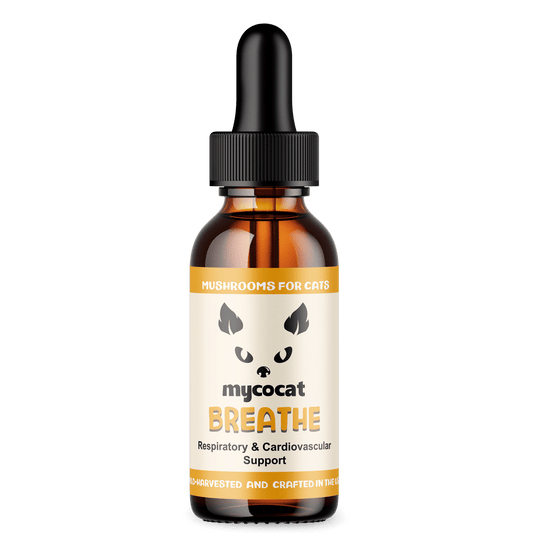 MycoCat Breathe: Respiratory & Cardiovascular Support