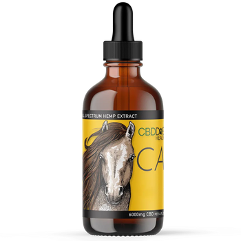 CALM Full Spectrum Hemp Extract (CBD) For Horses