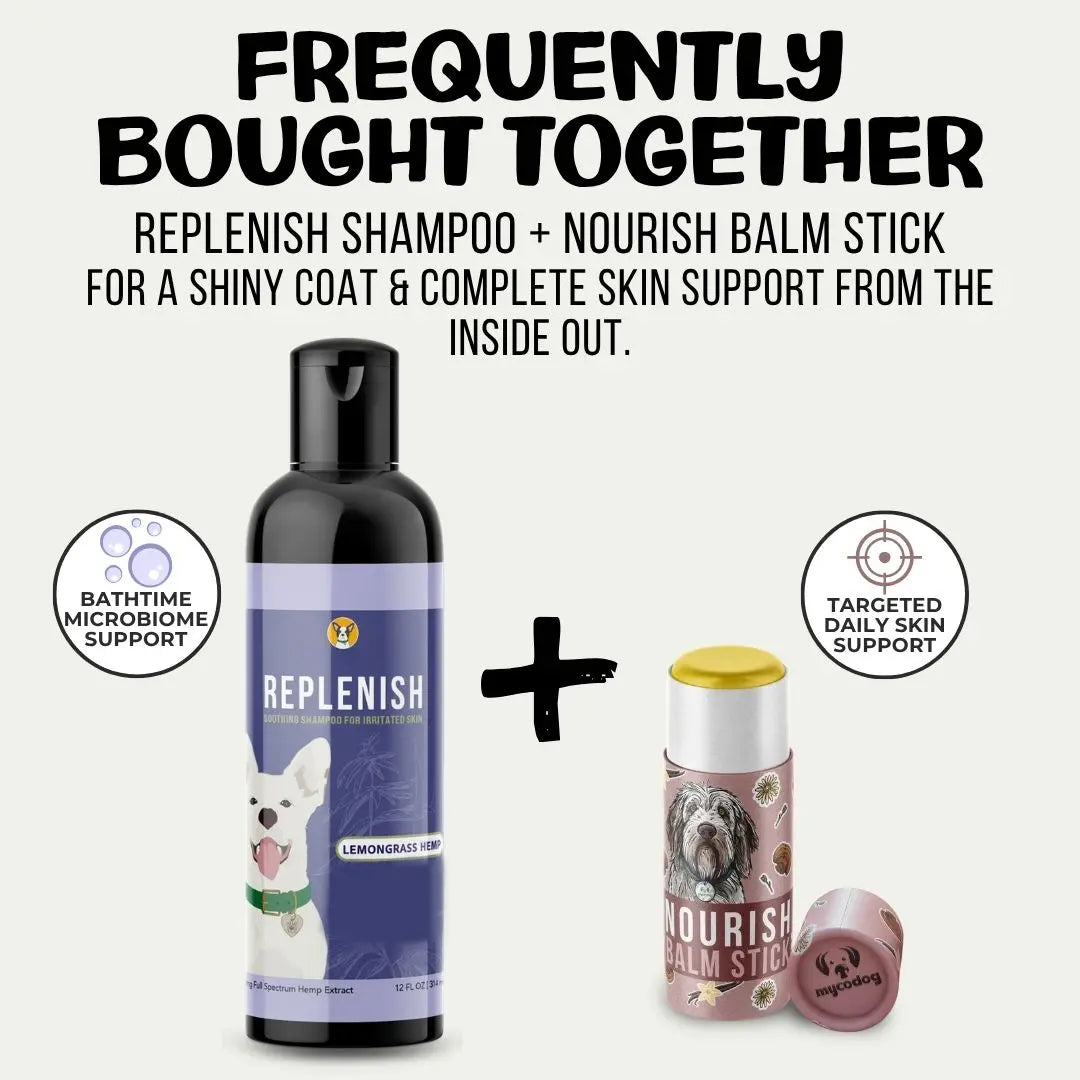 Nourish Balm Stick: Skin + Paw Care