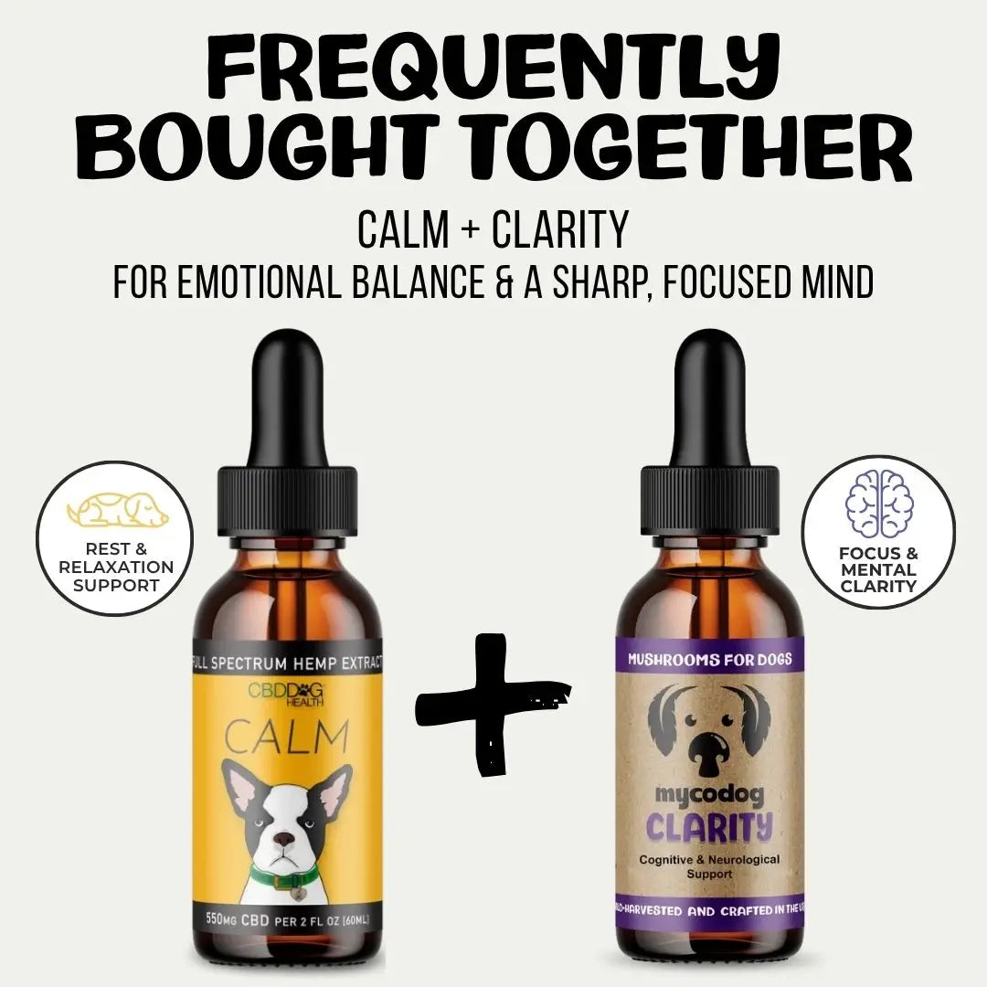 MycoDog Clarity: Cognitive & Neurological Support