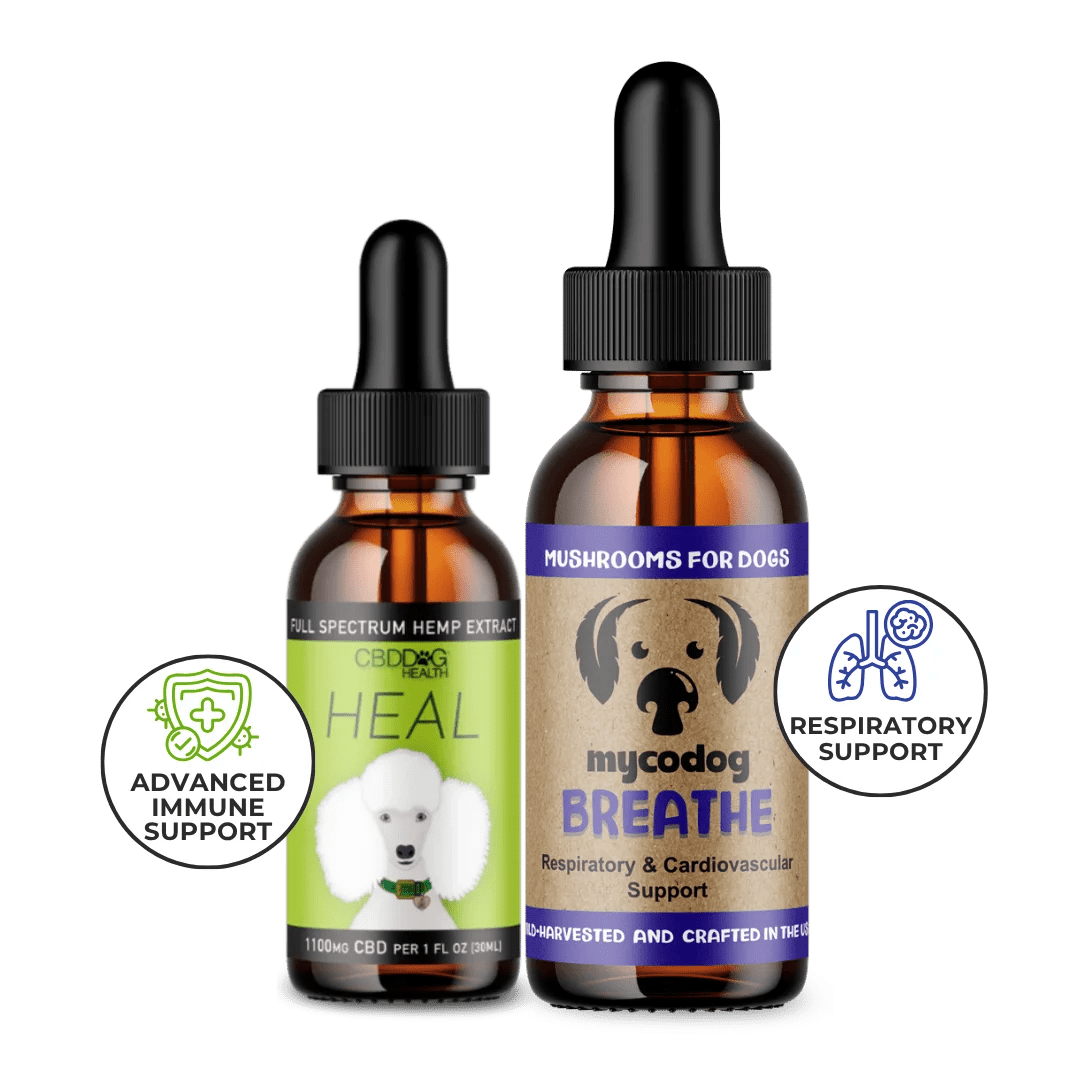 dog respiratory infection supplement immune support cbd dog mushrooms adaptogens