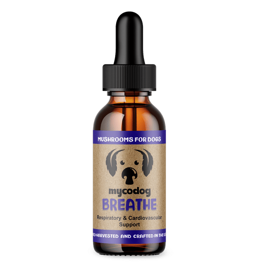 MycoDog Breathe: Respiratory & Cardiovascular Support