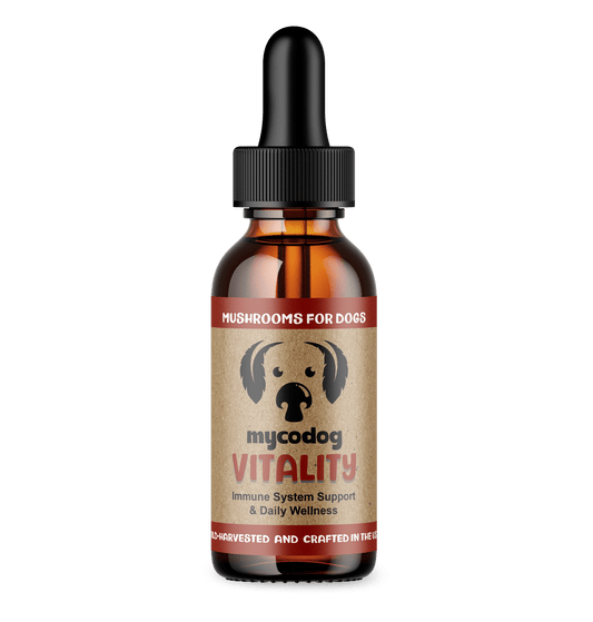 MycoDog Vitality Mushroom Extract Blend for Dogs Immune Support Immune Balance Cellular Health