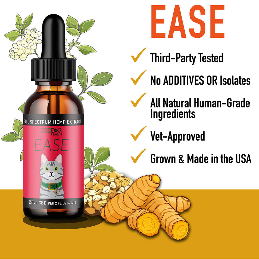 cbd oil for cats ease cbd for itchy cats mobility joints
