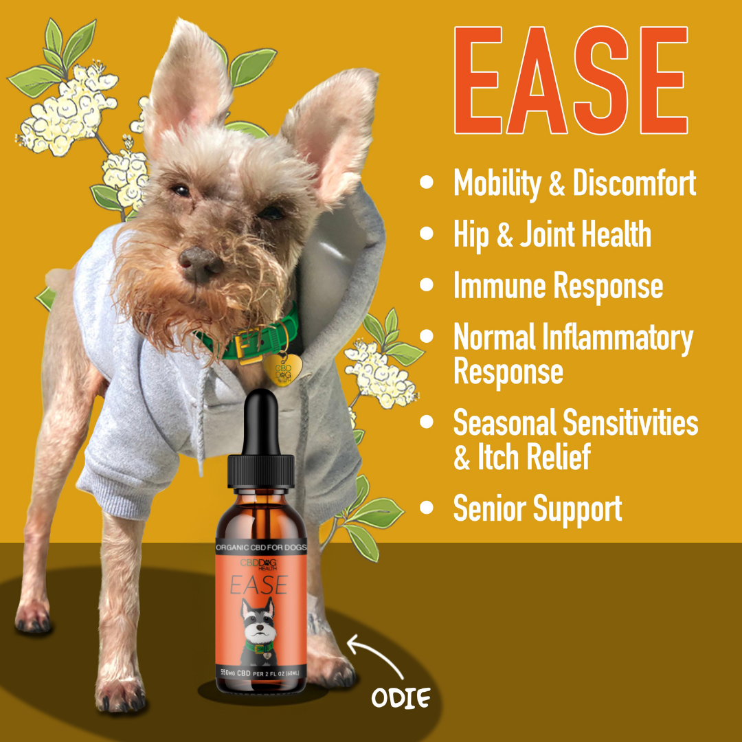 EASE: Mobility & Itchy Dogs