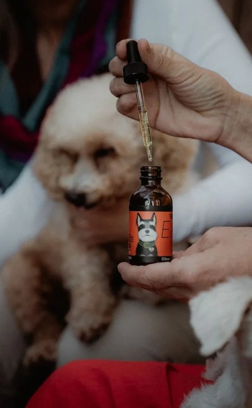 ease hemp oil for dogs