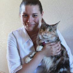 vet approved CBD for dogs pets cat CBD review