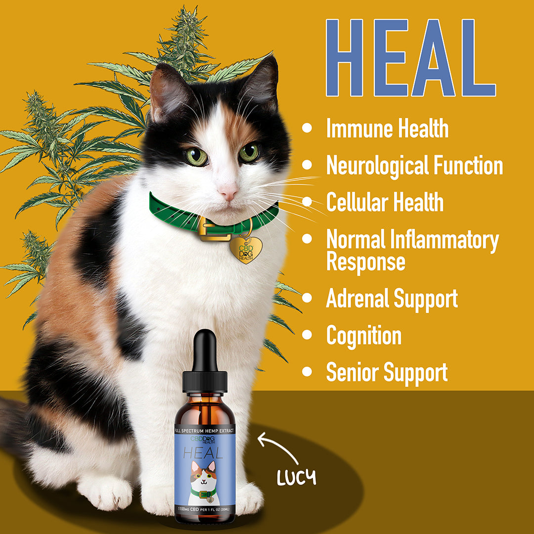 cat cbd oil heal cbd oil for cats full spectrum cbd oil for cats