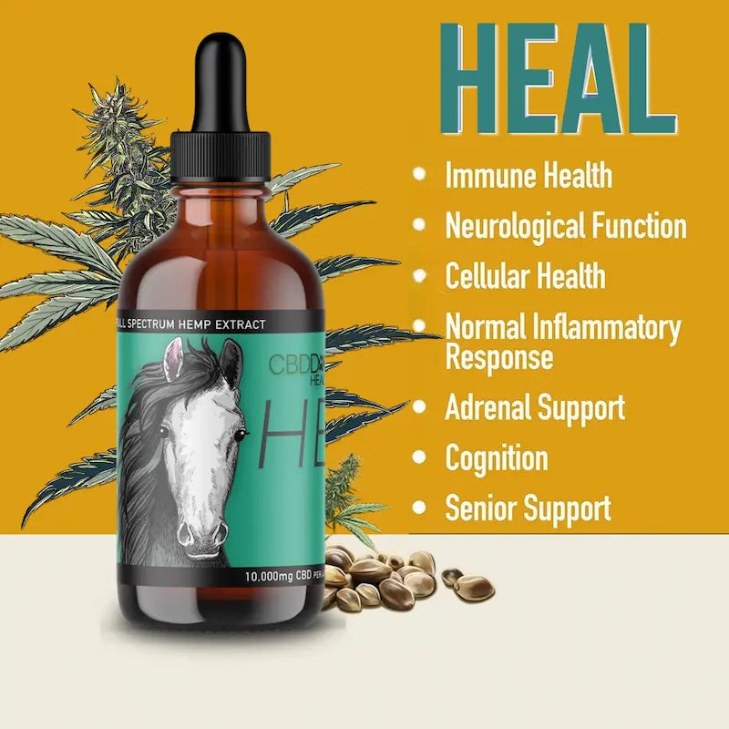 HEAL: Immune & Inflammatory Balance for Horses