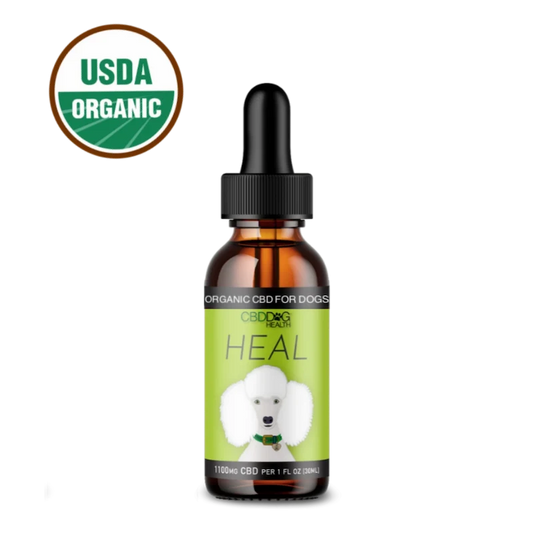 HEAL: Immune & Inflammatory Balance for Dogs