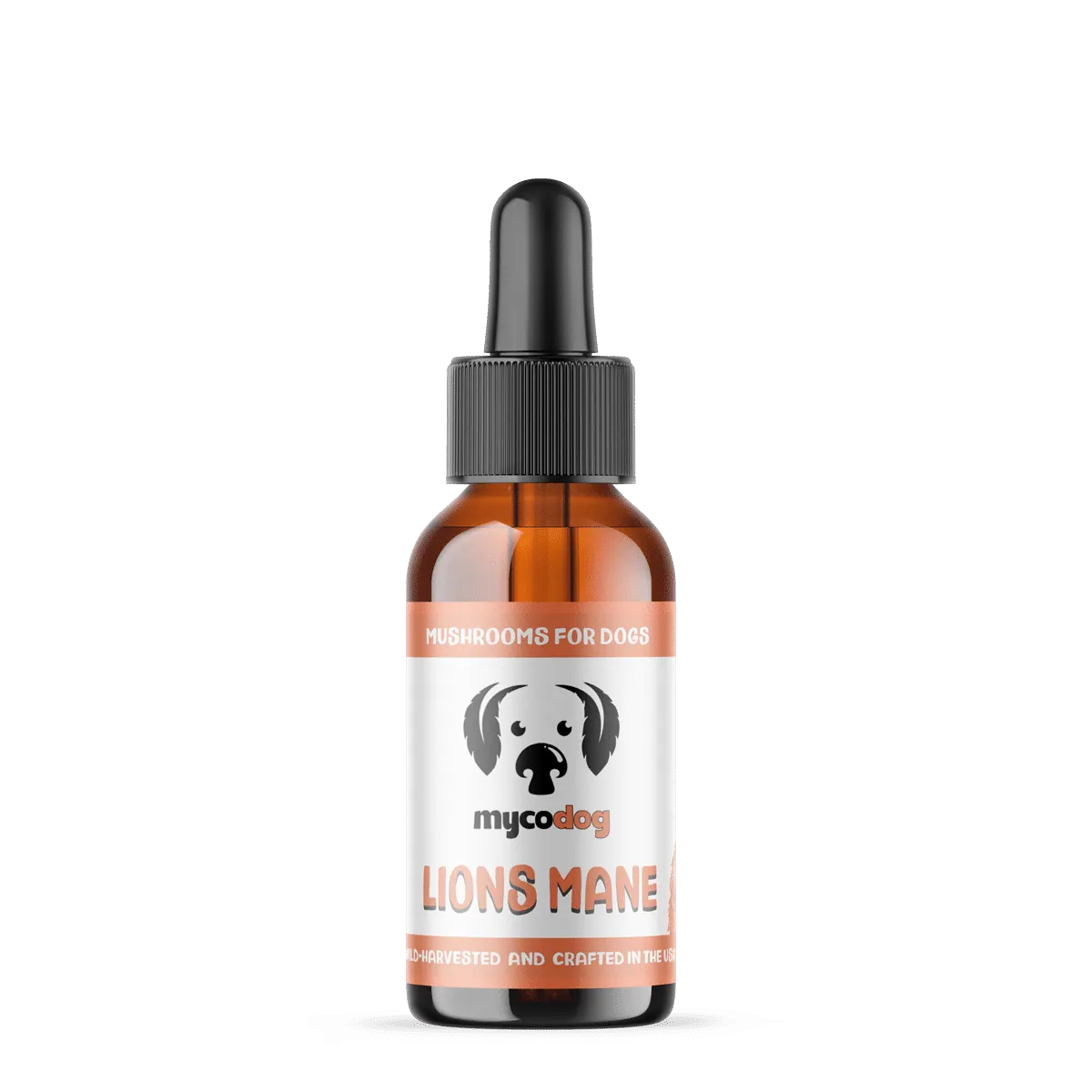 MycoDog Lion’s Mane: Cognitive & Nerve Health