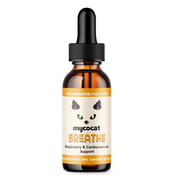 Breathe for Cats: Natural Respiratory & Cardiovascular Support