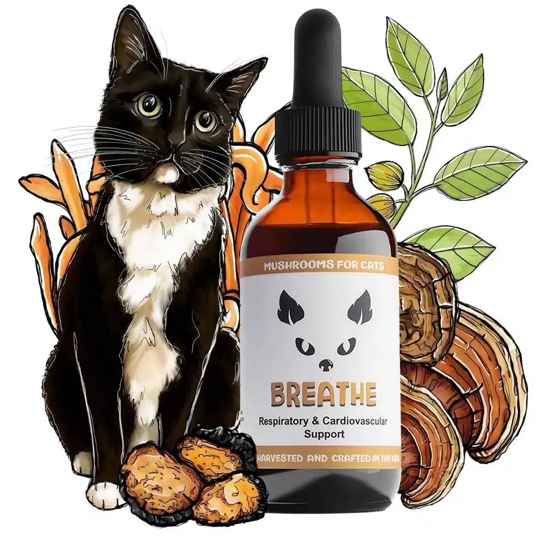 MycoCat Breathe: Respiratory & Cardiovascular Support - Image 6