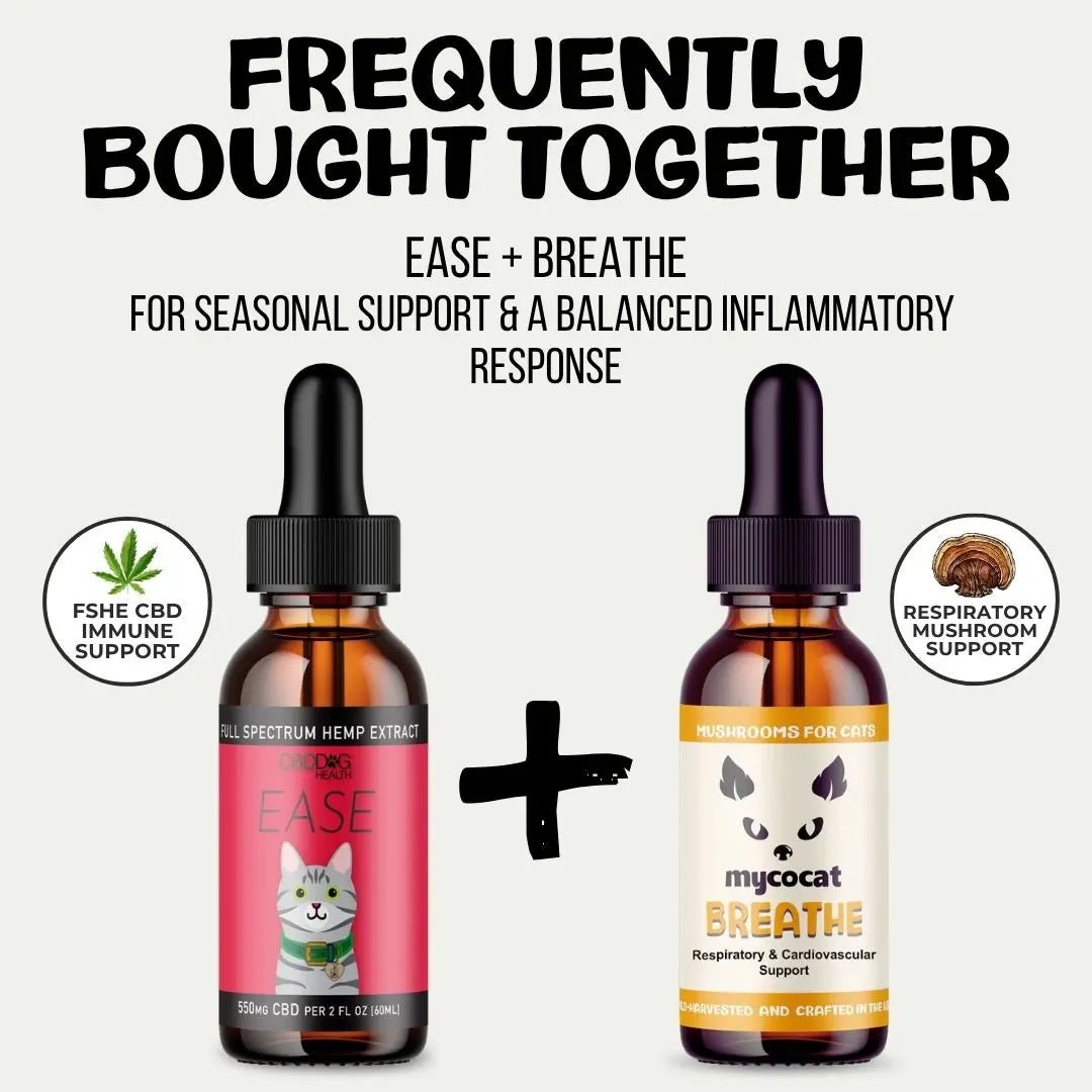 MycoCat Breathe: Respiratory & Cardiovascular Support