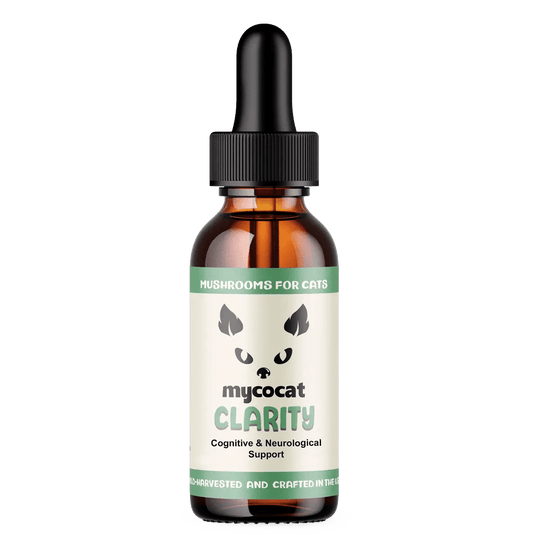 MycoCat Clarity: Cognitive & Neurological Support