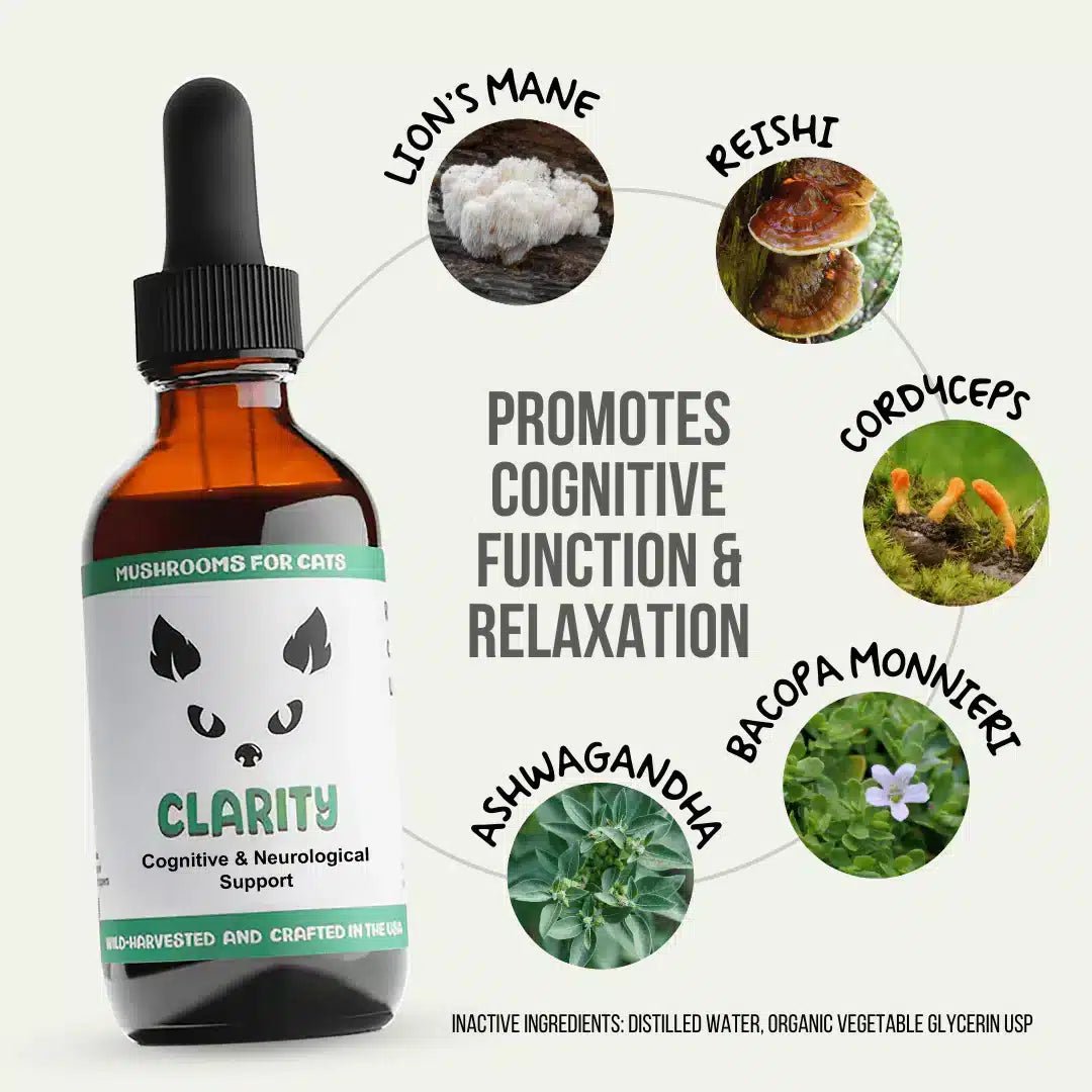 MycoCat Clarity: Cognitive & Neurological Support - Image 2