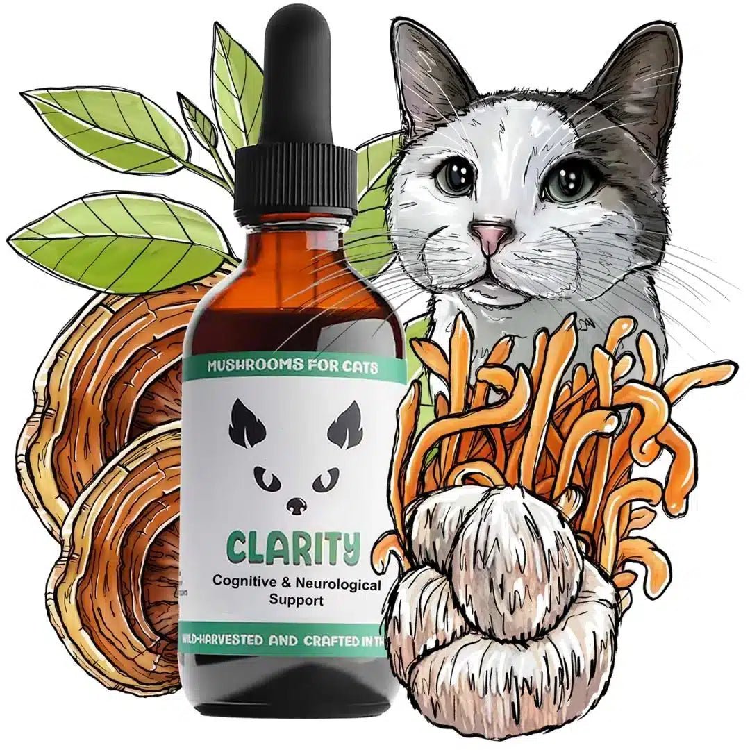 MycoCat Clarity: Cognitive & Neurological Support - Image 4