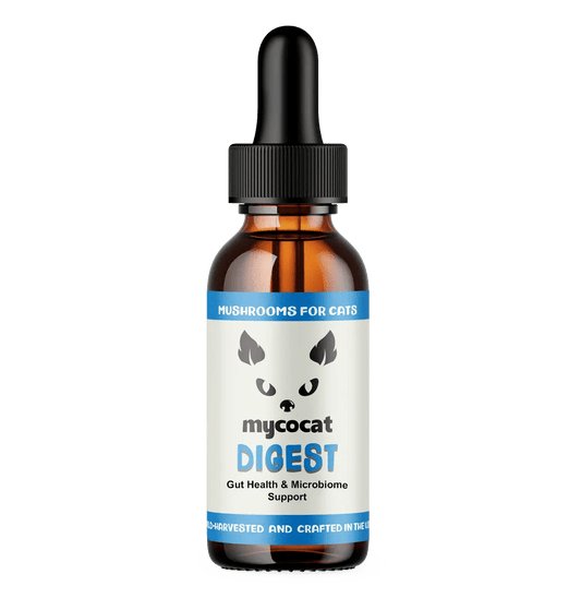 digest mycocat mushrooms for cats digestive support feline cat digestive supplement