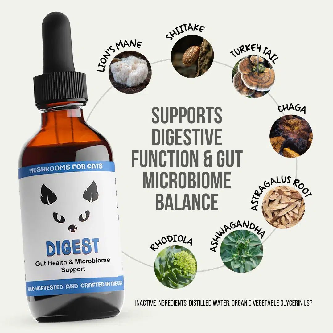 MycoCat Digest mushroom blend for cat gut health mushrooms for cats gut digestion
