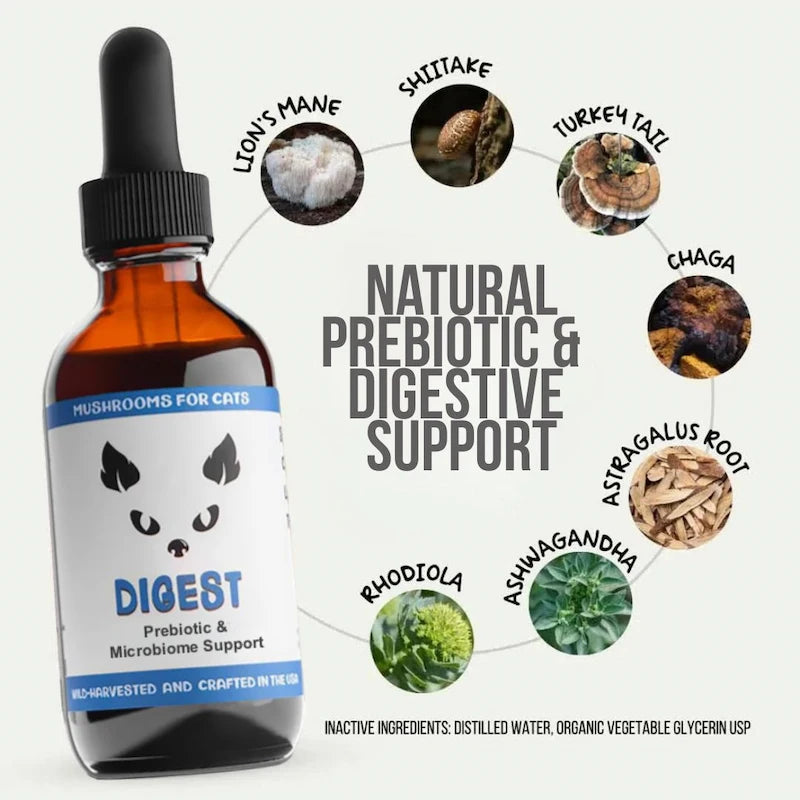MycoCat Digest: Prebiotic & Microbiome Support