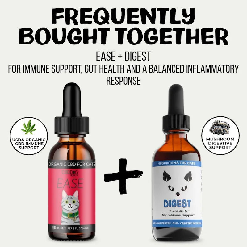 MycoCat Digest: Prebiotic & Microbiome Support