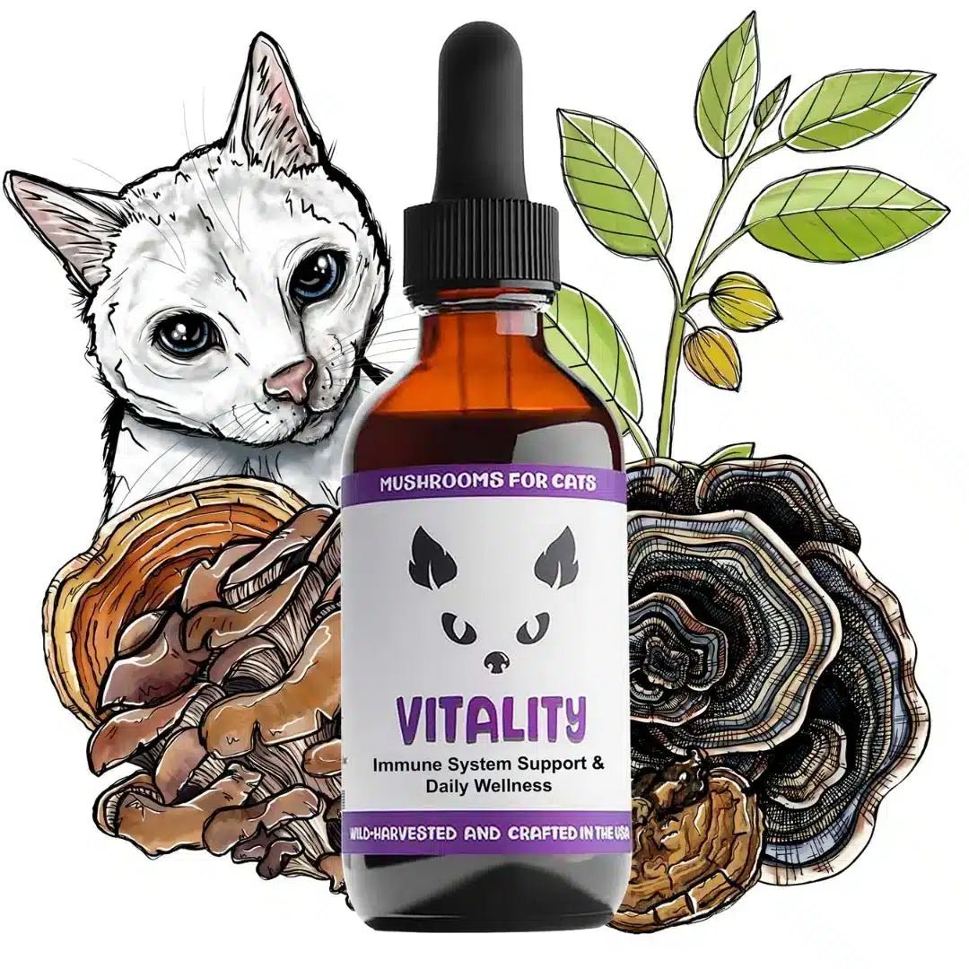 MycoCat Vitality: Immune & Overall Health - Image 3