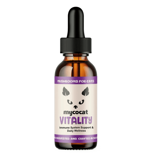 mycocat vitality mushrooms for cats immune support