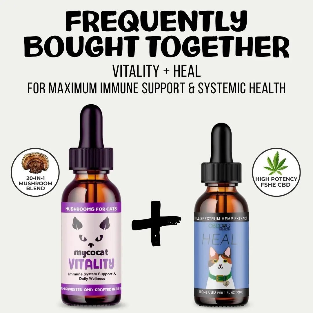 HEAL: Immune & Inflammatory Balance for Cats