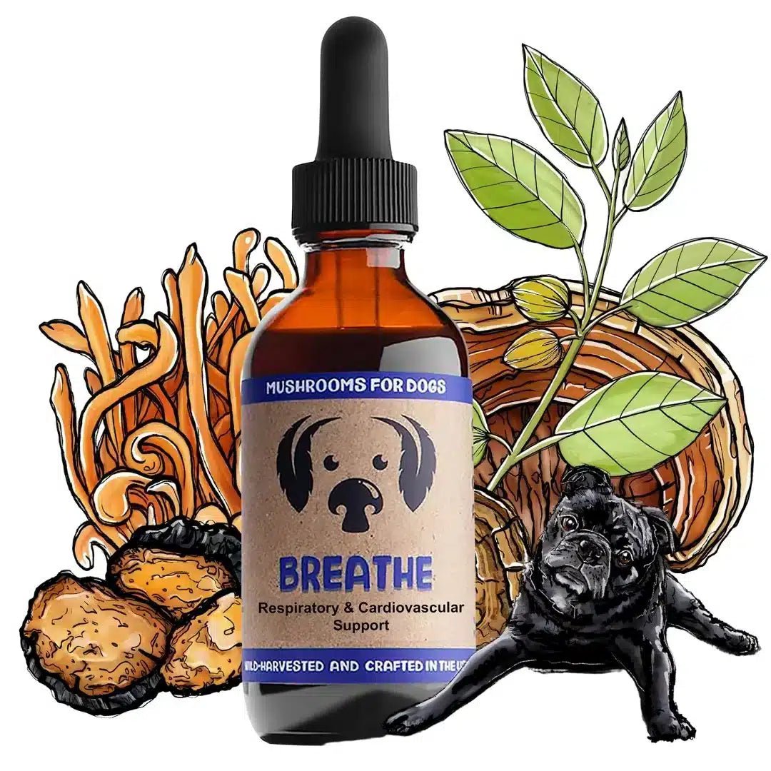 MycoDog Breathe: Respiratory & Cardiovascular Support - Image 6