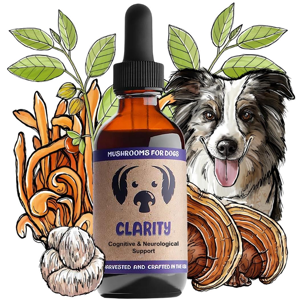 MycoDog Clarity: Cognitive & Neurological Support - Image 4