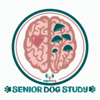 Senior Dog Study Logo