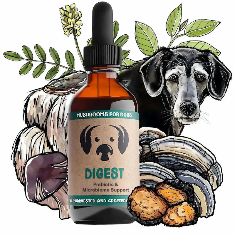 MycoDog Digest: Prebiotic & Microbiome Support