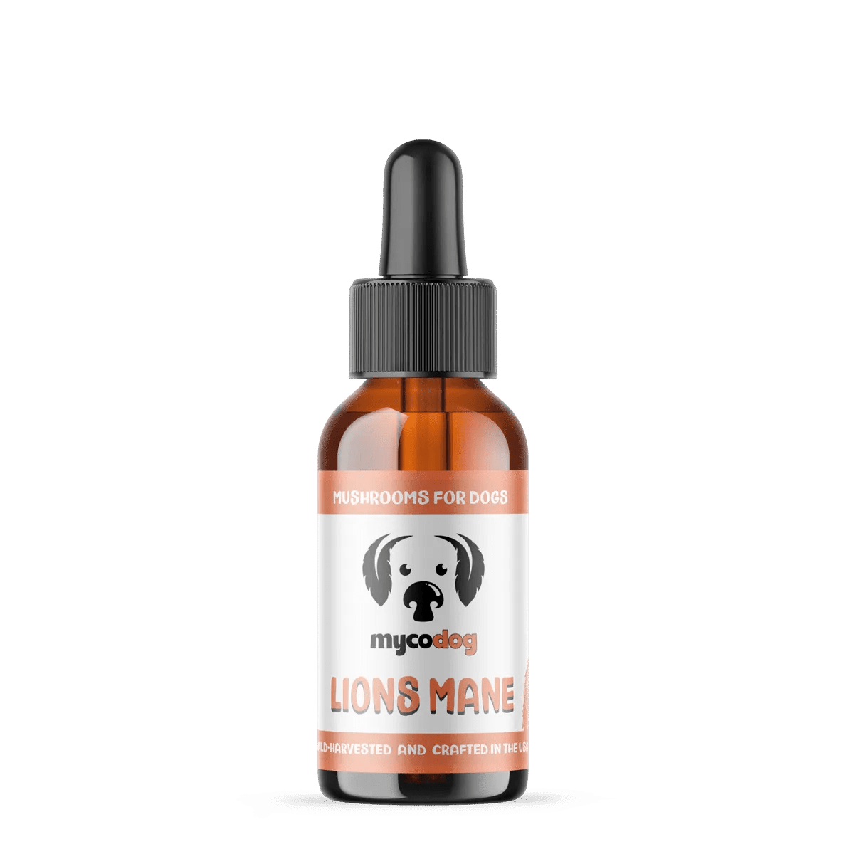 MycoDog Lion’s Mane: Cognitive & Nerve Health