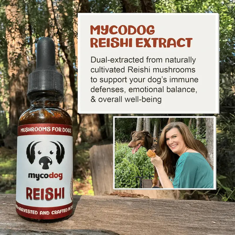 MycoDog Reishi: Stress Response & Vitality