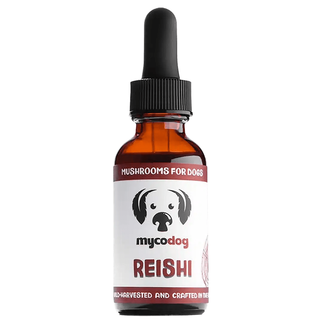 reishi for dogs