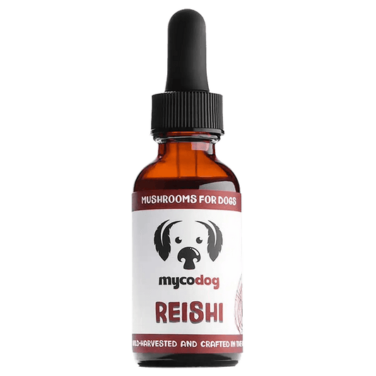 reishi for dogs