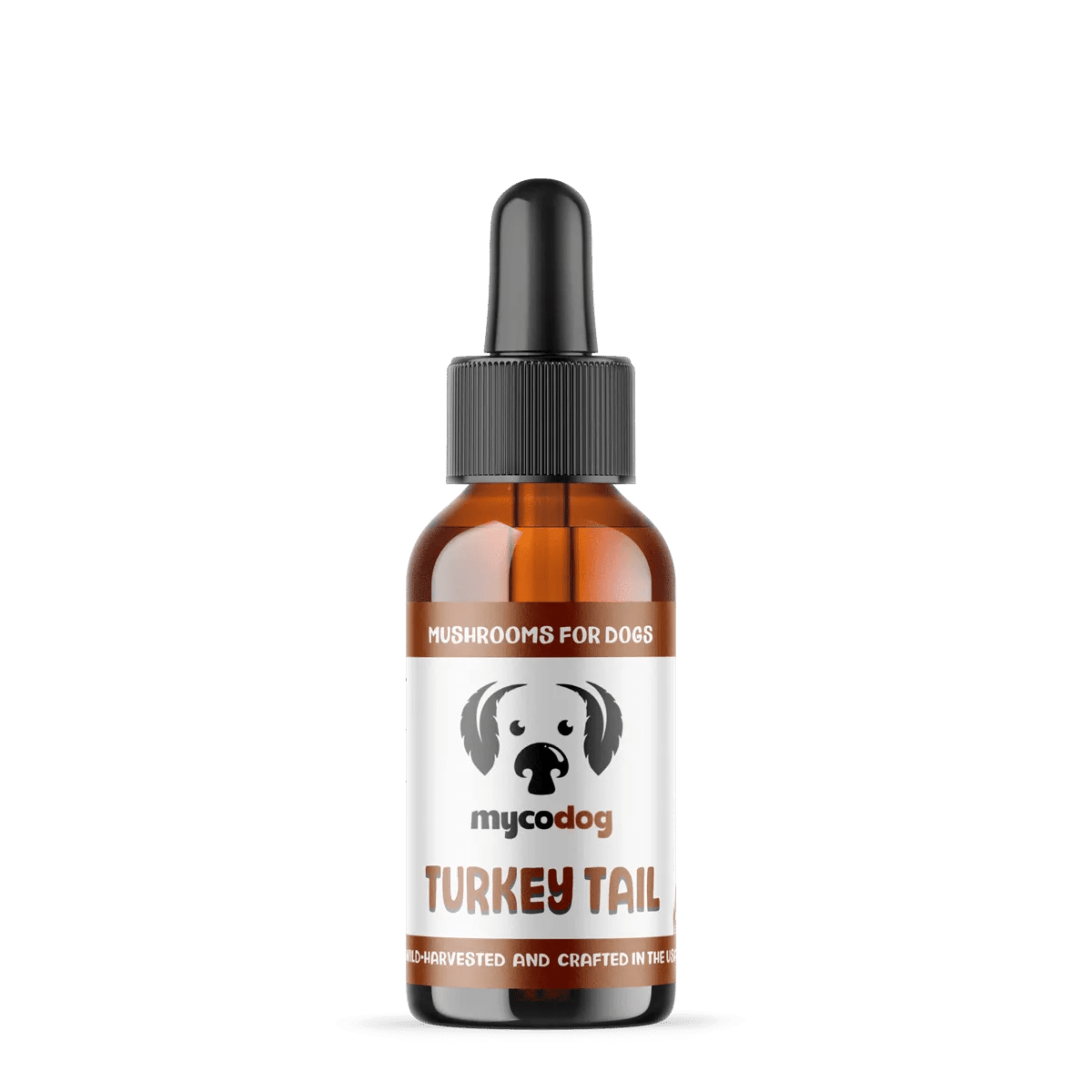 turkey tail for dogs turkey tail mushroom for dogs pets cats