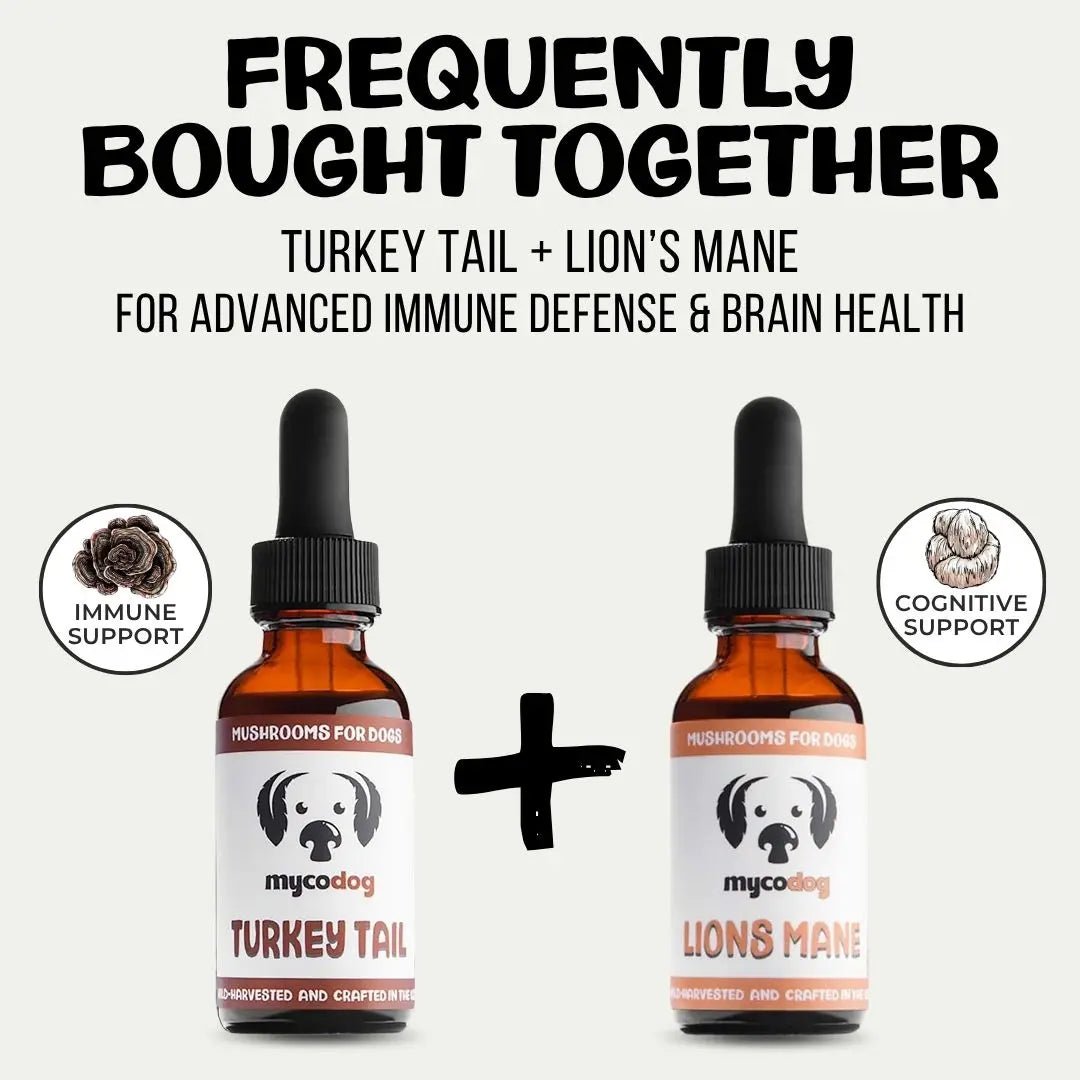 MycoDog Turkey Tail: Immune Health