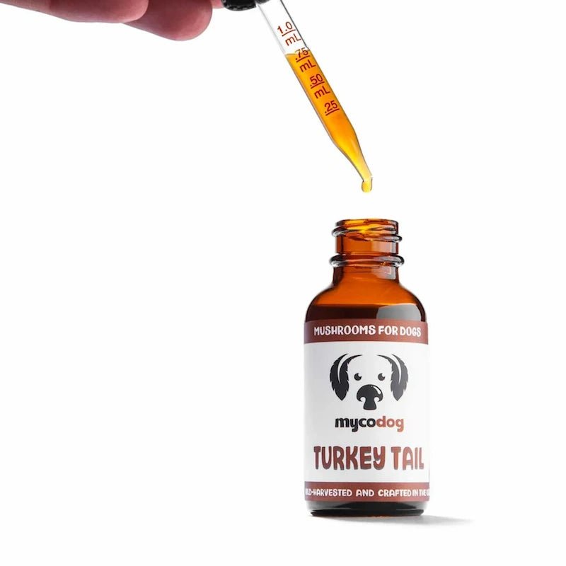 MycoDog Turkey Tail: Immune Health