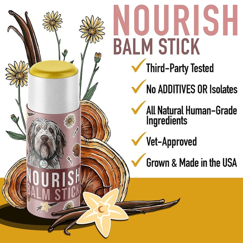 Nourish Balm stick for dogs pets Reishi mushroom for dogs paw protection skin health dry nose dry paws cracked skin