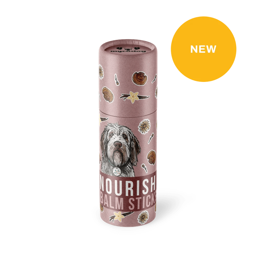 Nourish Balm stick CBD dog paw balm Reishi balm stick for pets dogs