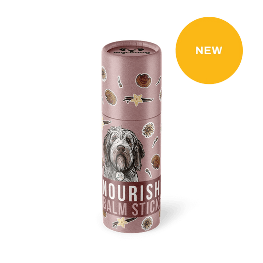 Nourish Balm stick CBD dog paw balm Reishi balm stick for pets dogs