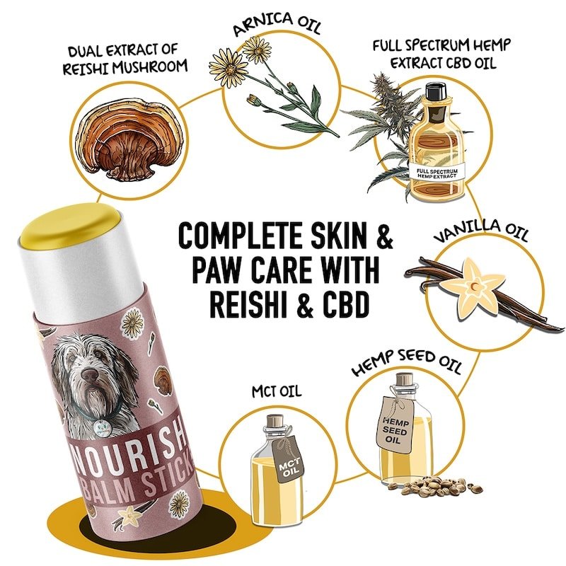 Nourish Balm stick for dogs pets Reishi mushroom for dogs CBD balm stick dog paw balm