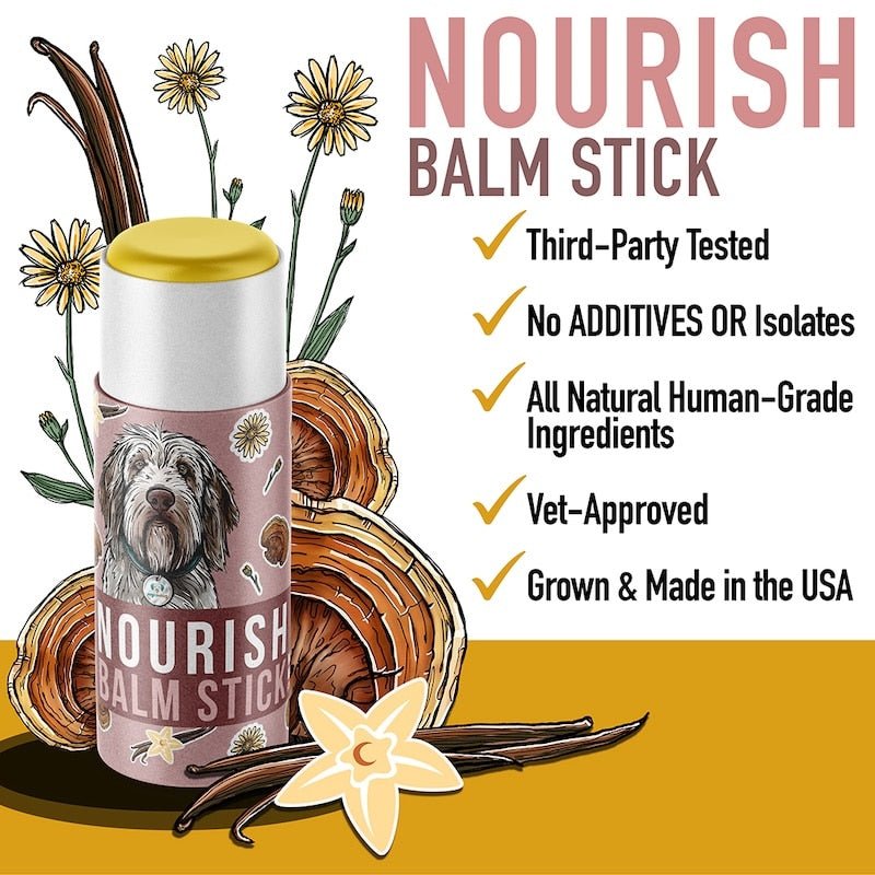 Nourish Balm stick for dogs pets Reishi mushroom for dogs paw protection skin health dry nose dry paws cracked skin