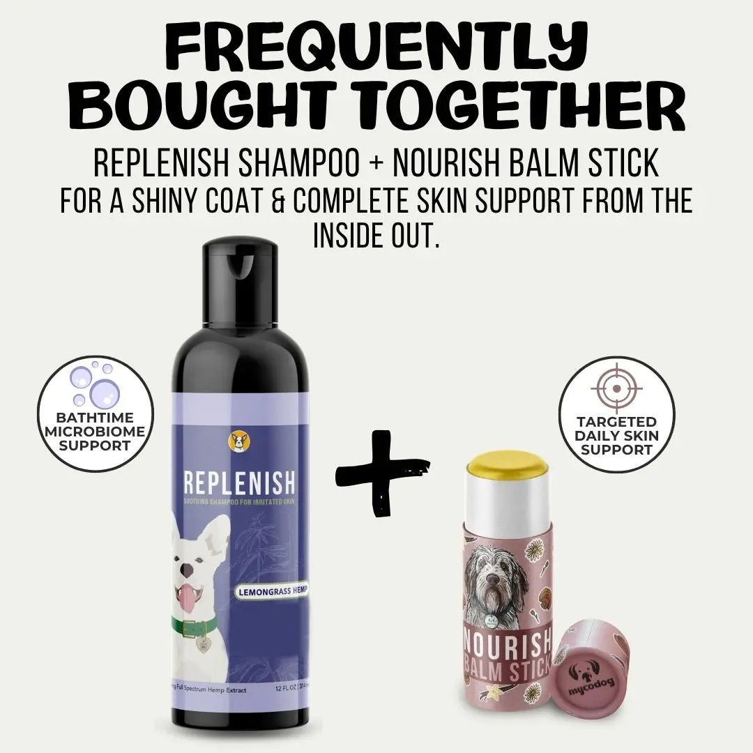 Nourish Balm Stick: Skin + Paw Care