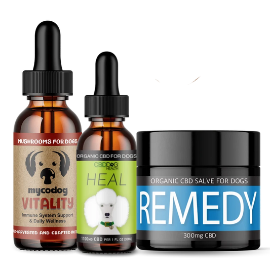 The Power Trio: Support for Skin, Immunity & Vitality