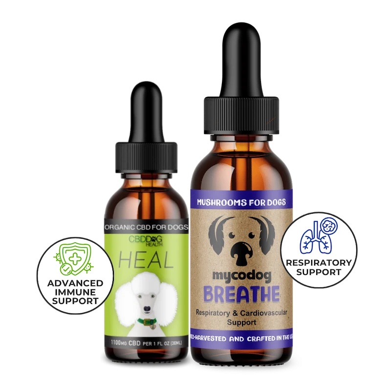 Dog Respiratory Duo